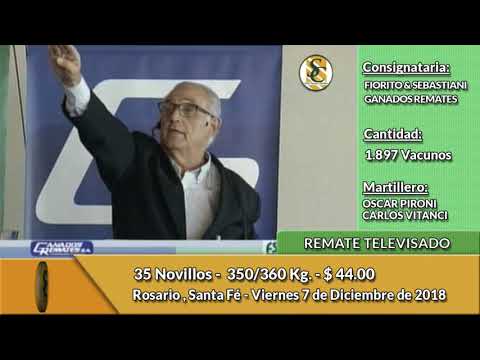 7-12-18 - Remate Televisado de FIORITO & SEBASTIANI - GANADOS REMATES - Santa Fé