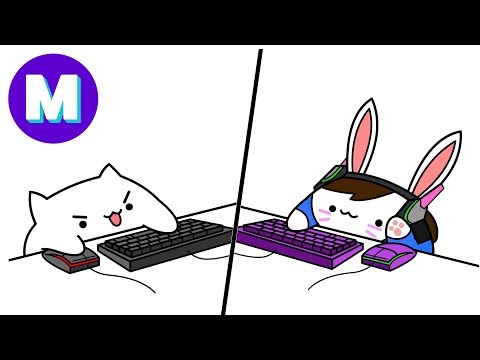 🎵No Mercy: Bongo Cat Edition 🎵