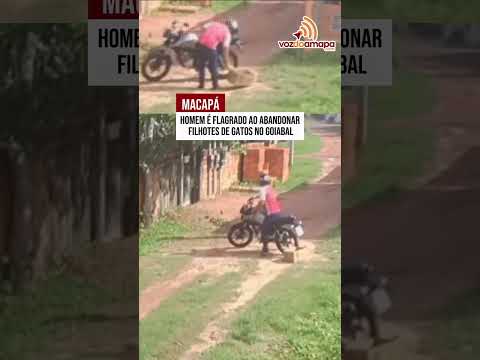 Macapá: Homem é flagrado ao abandonar filhotes de gatos no Goiabal