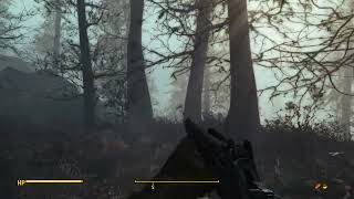 Lush Ambience - Far Harbor Example