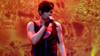 Adam Lambert - Purple Haze &amp; WLL *IMPROVED VERSION* Amsterdam