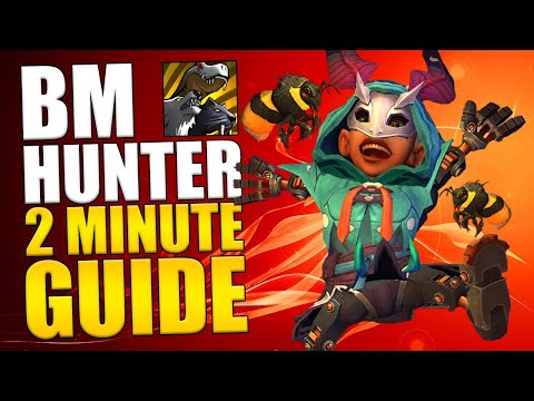 10.1.7 BM HUNTER 2 MINUTE PvE GUIDE