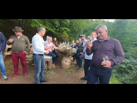 Bebe Dragomir-Prietenii când se adună . (Cover)