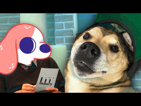 Resultados del ADN de mi perro