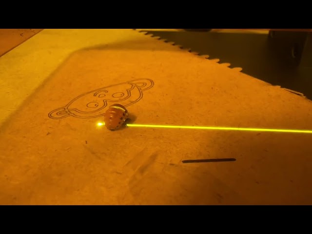 Colorado Beetle Larva vs. 5W Laser