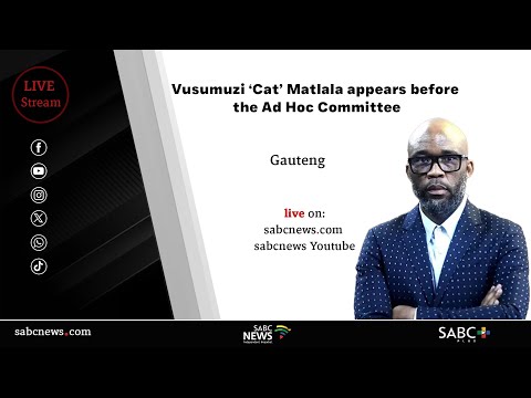 Parliament Ad Hoc Committee | Vusimuzi "Cat" Matlala's testimony at the Kgosi Mampuru prison