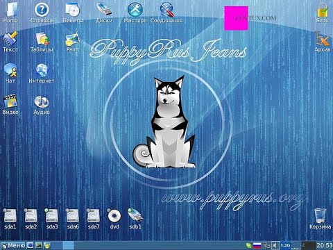 Puppy Linux ausprobiert - 2022