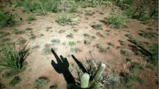 Javier Jofré - This is not [English Album] Reconnected