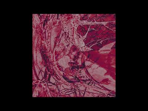 Nao Nhil - Speculum [DVNTTLP06]