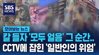 칼 들자 '모두 얼음' 그 순간.. CCTV에 잡힌 '일반인의 위엄' / SBS / 모아보는 뉴스