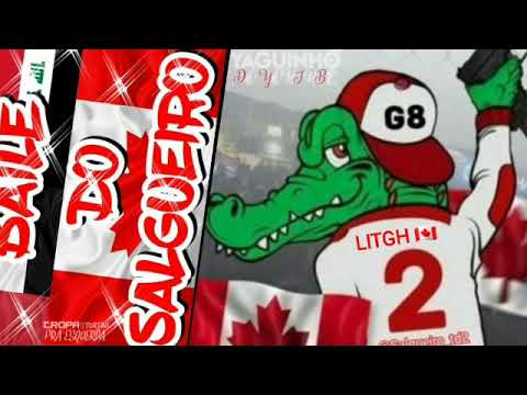 PODCAST LITGH DO MELHORES FUNK ATUALMENTE NO BAILE DO SALGUEIRO(DJ DAVASCO DO SALGUEIRO) #RUMOAO1K