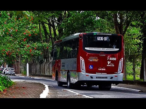 Vários Apache Vip IV da Transwolff Área 7