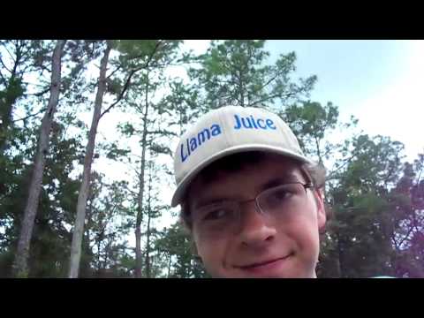 Swarms and swarms of... rubber duckies.  - Day 08