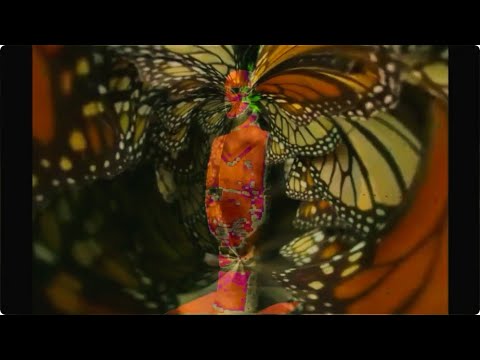 3D. FLY FAMILY NEGO - LIDÉ ANDĚLÉ / ANEB RUDÁ ZÁÁÁŘ NA HRADĚ  /3D.FLY FAMILY NEGO