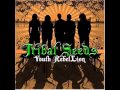 Tribal Seeds - Creator