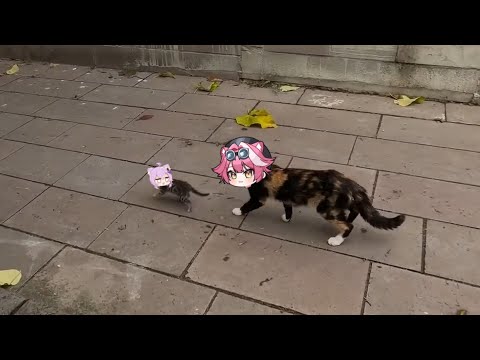 Raora big cat mama and Okayu cat daughter | Animal hololive