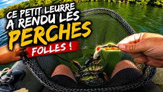 THIS LITTLE LURE DRIVED THE PERCH WILD! (lure fishing)