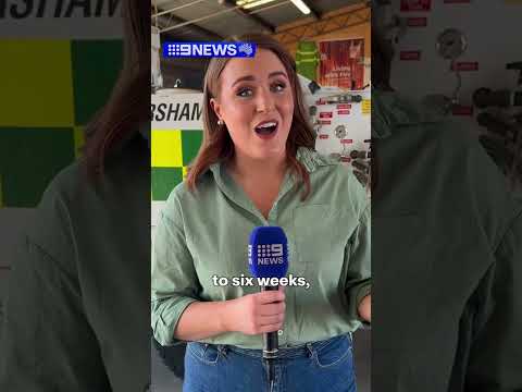 The latest on Victoria's out-of-control bushfires | 9 News Australia