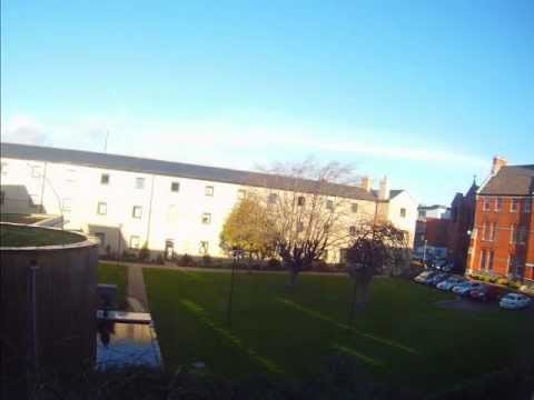 timelapse view outside my window