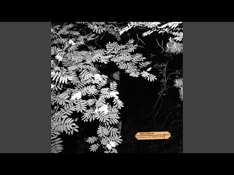 My Grey Life (Second Chances) - Dolorean