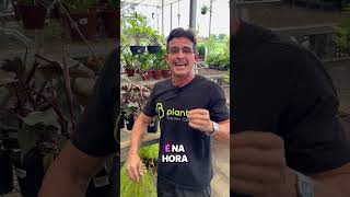 V&iacute;deo do produto