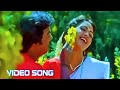 Chinna Poongili Parvathi Ennai Paradi Tamil Video Song Vaali Ilaiyaraaja S Janaki SPB