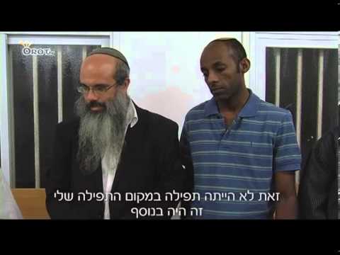 ערוץ אורות- הקס לבן ערוץ אורות- הקס לבן