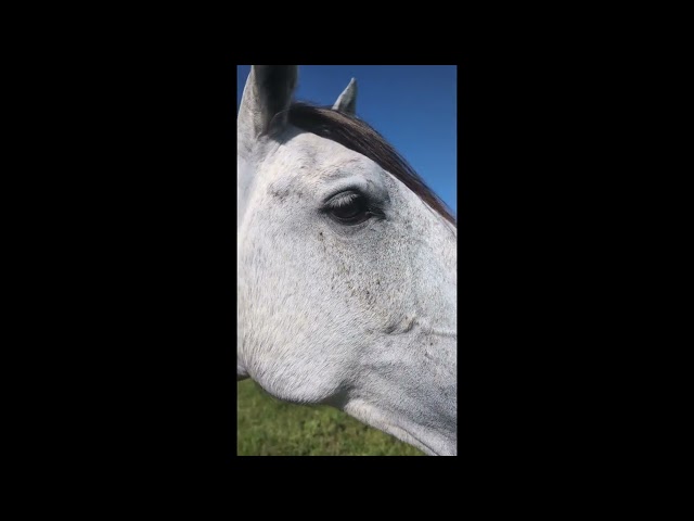 Pension de propriétaires 