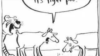 Malibu Nights, Matt style