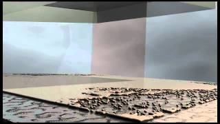 Felix Laband - Sleepwalking - [ Essai visuel par Bertrand Burtin ]