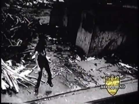 Keiko Terada - Dead Or Love (PV)