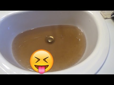 THERE'S SOMETHING IN THE WATER | VLOG #22 | April 10 |  2016