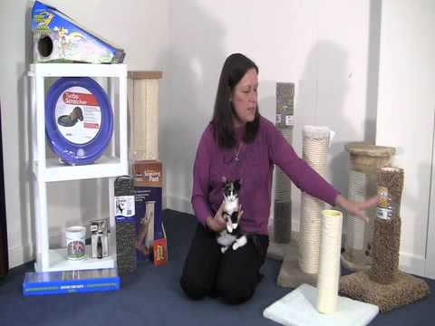 Selecting a Scratching Post for Your Cat