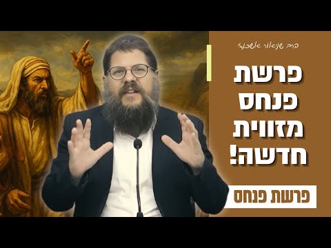 רוצים להצליח בחיים? תקשיבו טוב לשיעור הזה! שיעור עוצמתי על פרשת פנחס • הרב שניאור אשכנזי (תשפ"ד)