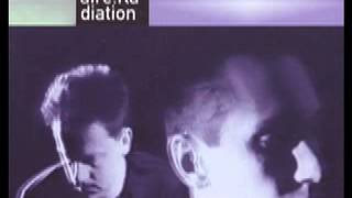 Cabaret Voltaire - Digital Rasta