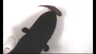 Electric eel uses high-voltage zaps to catch prey