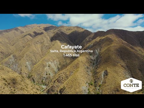 Conte Bienes Raices - Cafayate 1465 Has