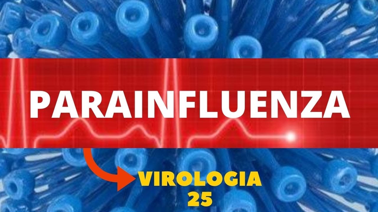 PARAINFLUENZA - VIROLOGIA  - AULA 25