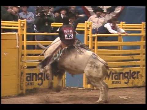 Bucking Bull Kattie Did