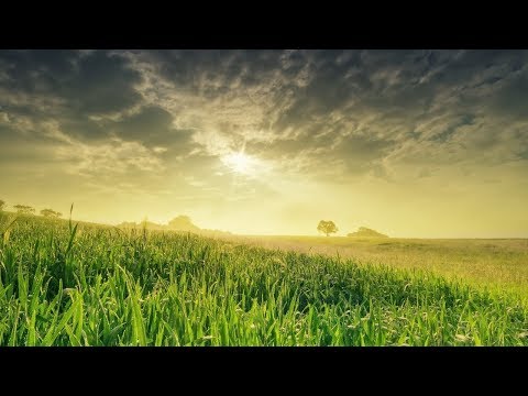 ALLAHOVE BLAGODATI || dr. Safet Kuduzović