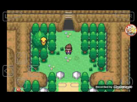 Pokémon Islas Doradas | Shinylocke Ep.3