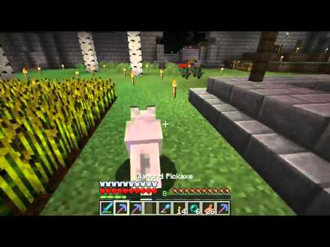 Minecraft Live stream (osa 11) endissä seikkailu (kylä)