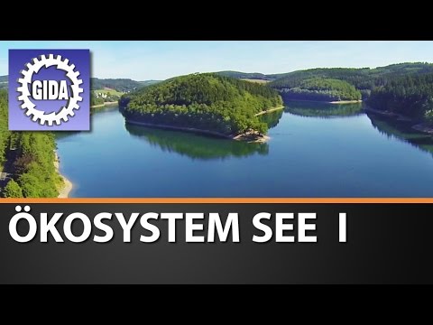 Trailer - Ökosystem See I - Biologie - Schulfilm