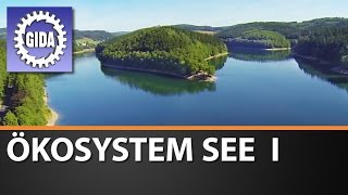 Trailer - Ökosystem See I - Biologie - Schulfilm