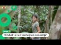 Julia (11) woont naast de bosbranden in de Amazone