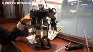 Yoshihiro Shibata - Thunderbolt Robot Hip/Leg Design For Effective Walking Gait