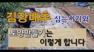김장배추 심는 시기와 토양 만들기는 이렇게 합니다. #주말농장 #텃밭 가꾸기 #김장 배추 잘 가꾸는 방법 #…