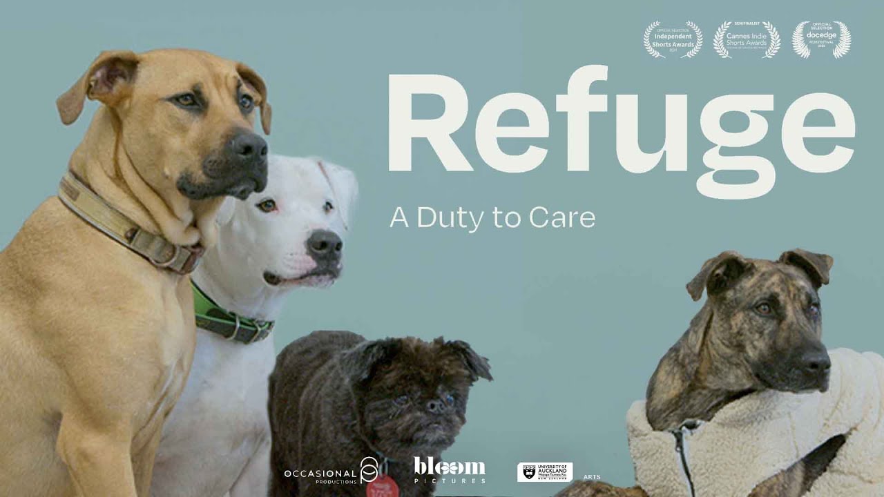 Refuge: A Duty to Care — Official Trailer