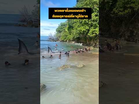 พวกเขาทั้งหมดพบเข้ากับเหตุการณ์ที่หาดูได้ยาก