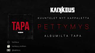 Kaikkeus - Pettymys feat. Mikko Herranen (Official Audio)